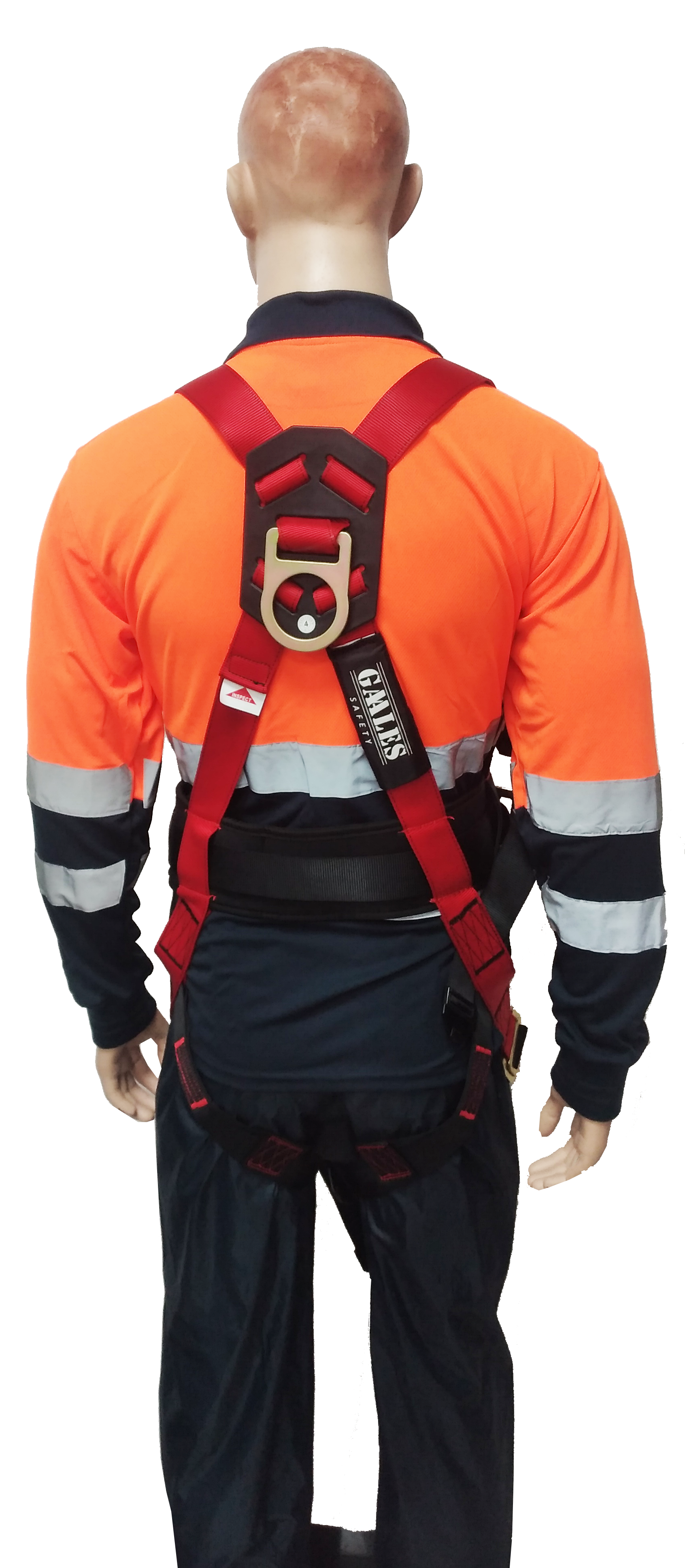 ARNÉS DE CUERPO JE146008